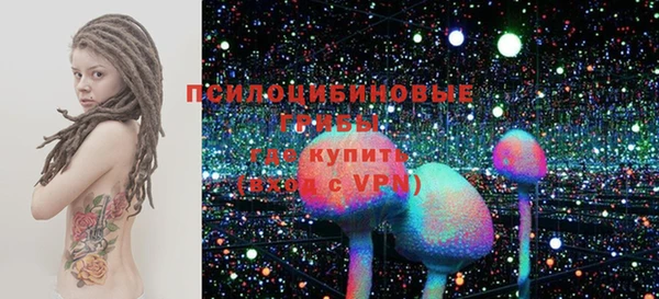 бошки Армянск